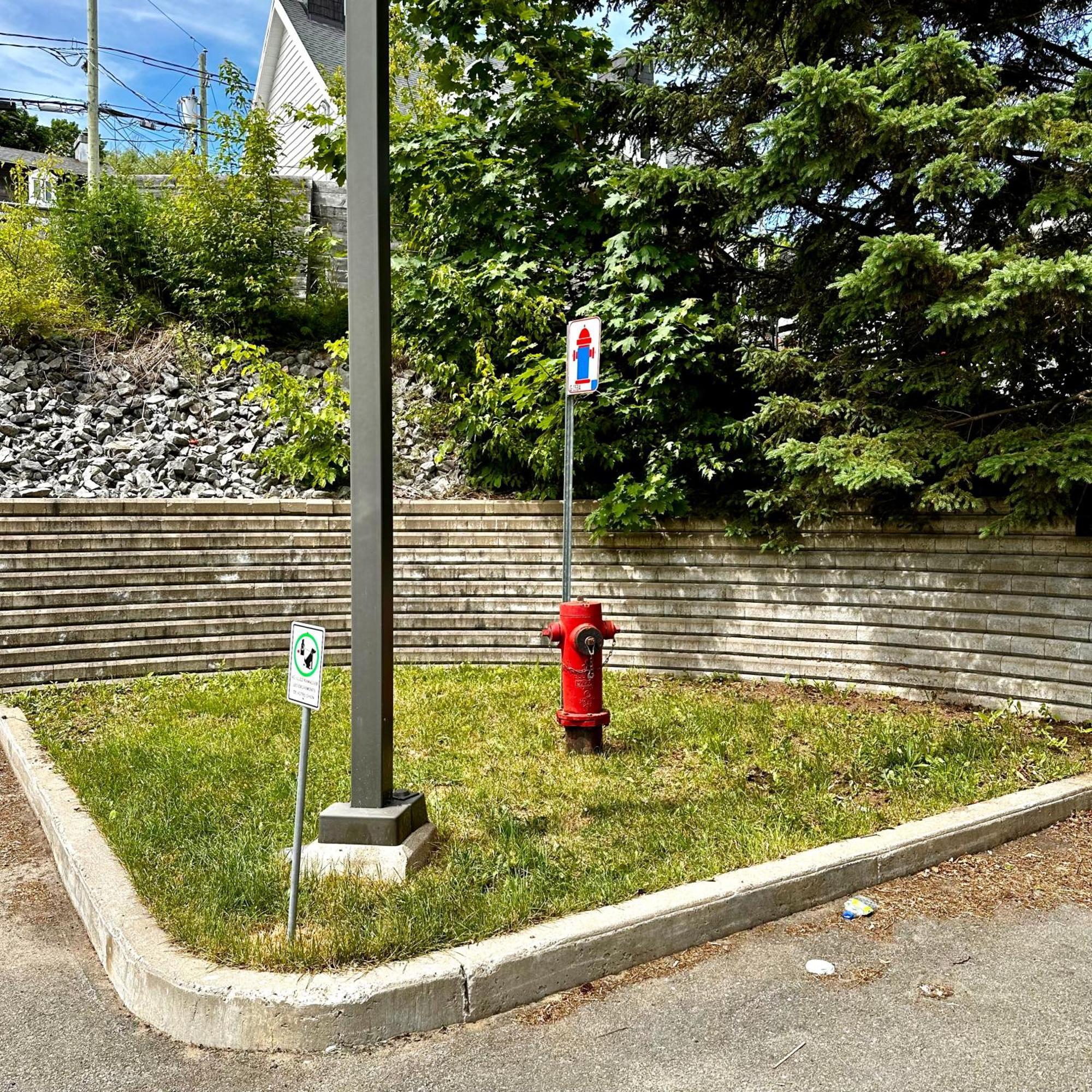 Initial - Moose - Chutes-Montmorency Boischatel Exterior photo